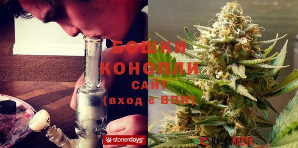 СК Богородск