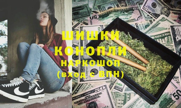 СК Богородск