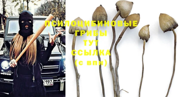 jwh Богородицк