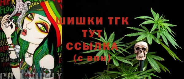 jwh Богородицк