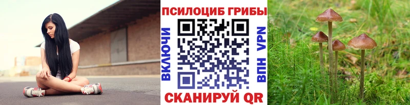 купить закладку  Верхотурье  Псилоцибиновые грибы Cubensis 